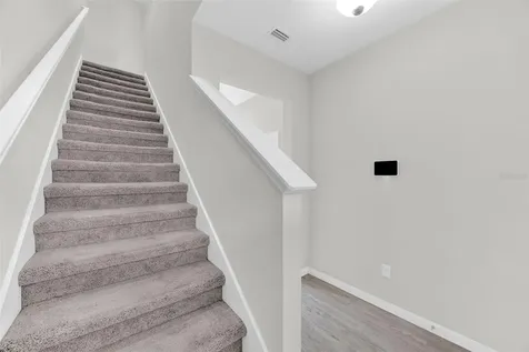 6321 Tillandsia Place Tampa FL 33610