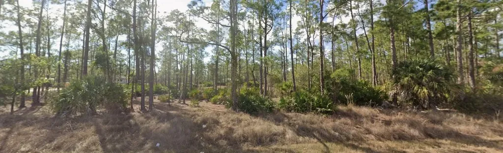 1303 Glenn Avenue Lehigh Acres FL 33972