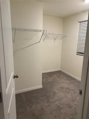11454 Stone Pine St Street Riverview FL 33569