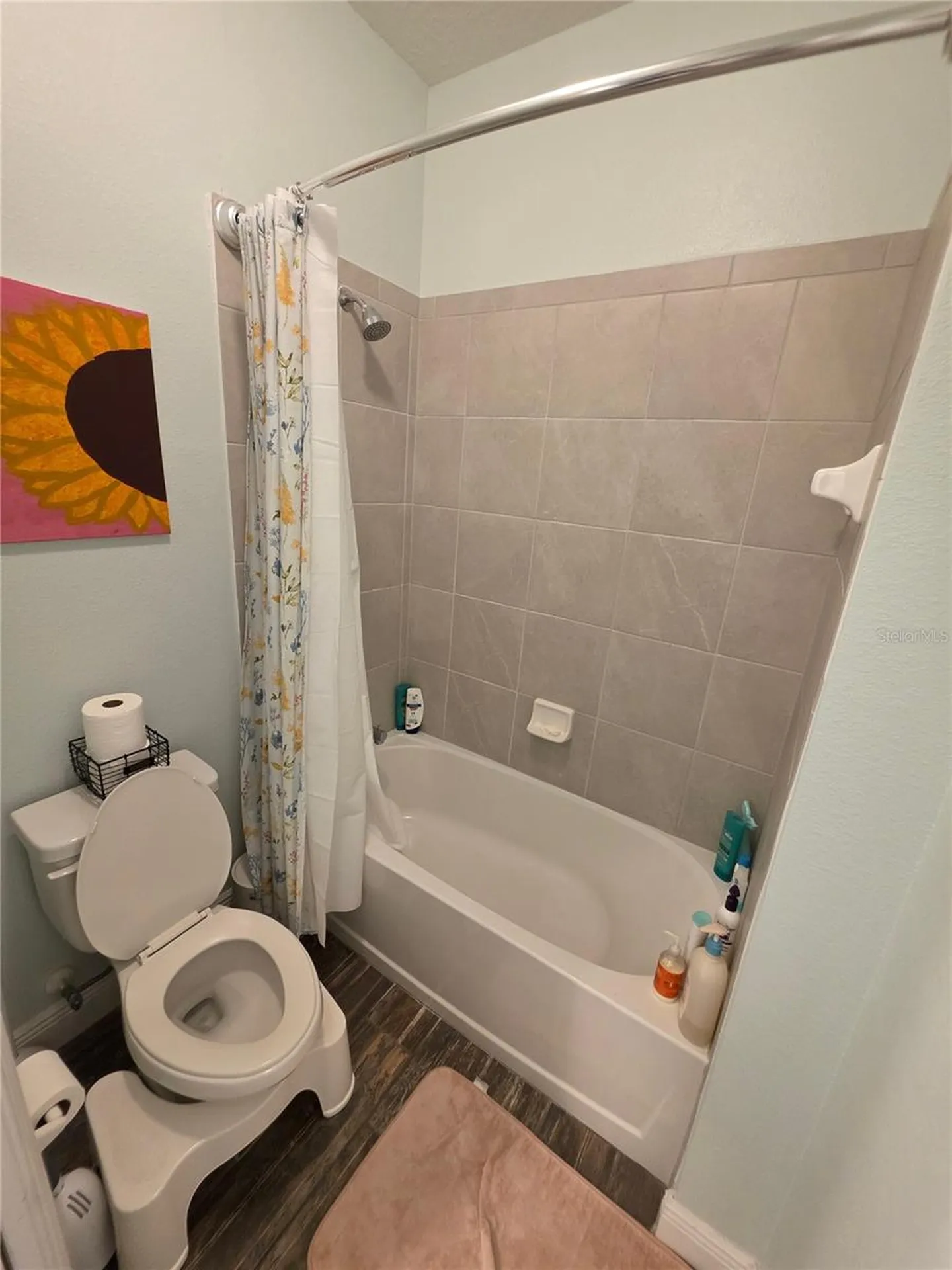 16804 Meadows Street Clermont FL 34714