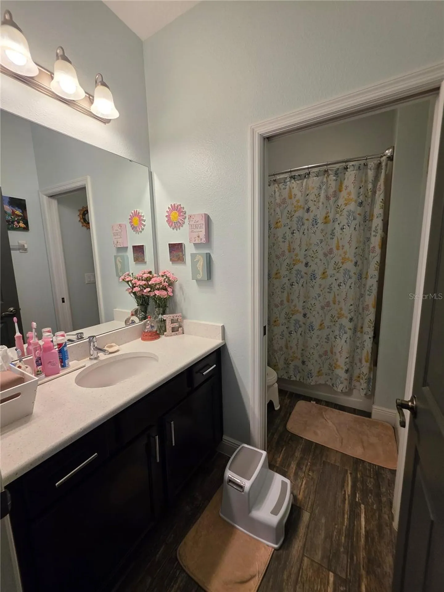 16804 Meadows Street Clermont FL 34714
