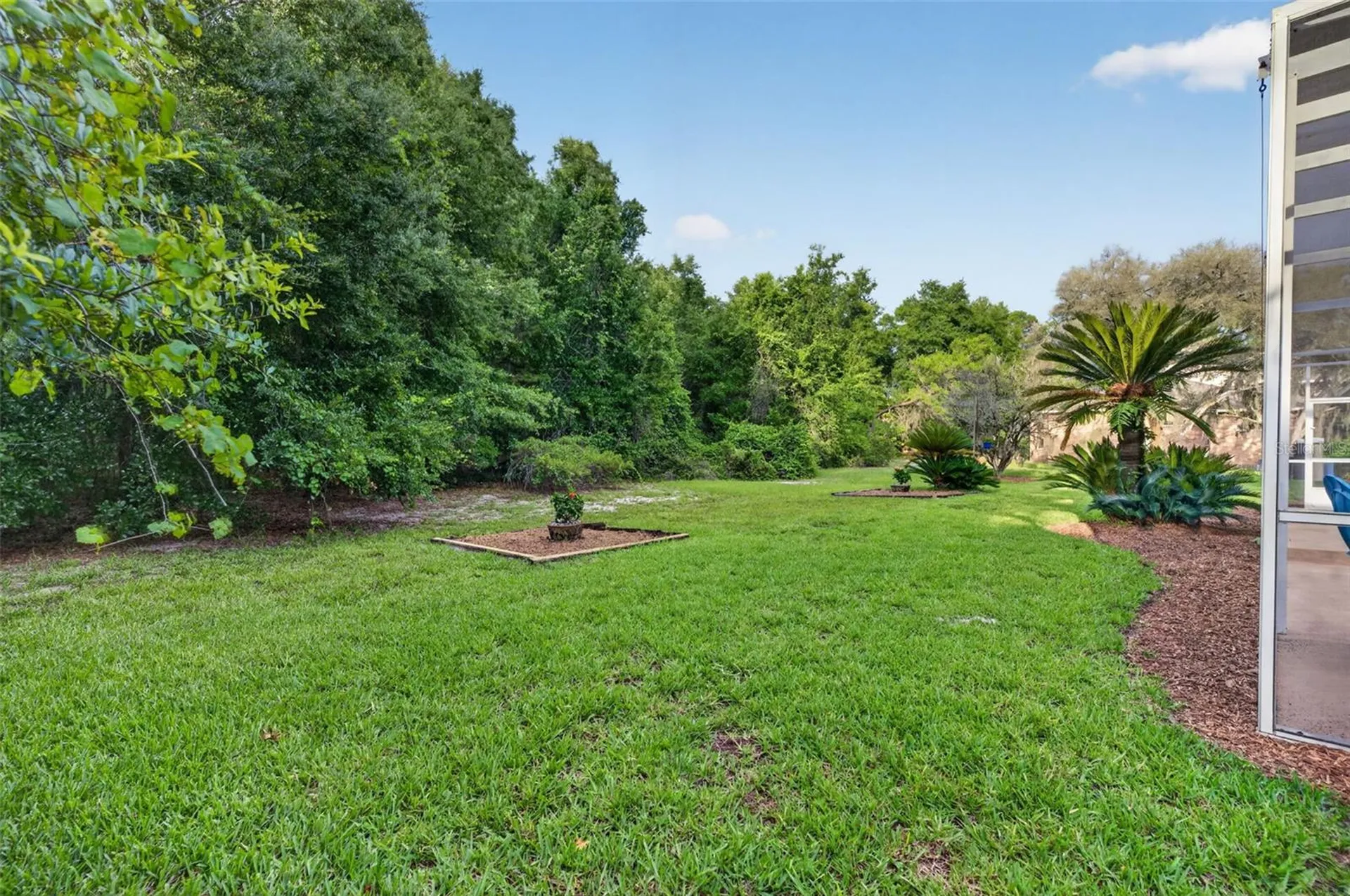 1303 Acres Drive Apopka FL 32703