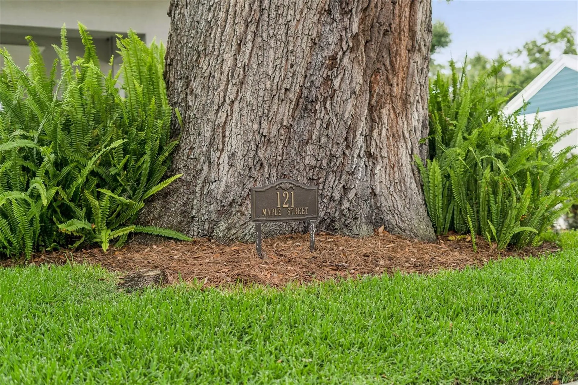 121 W Maple Street Winter Garden FL 34787