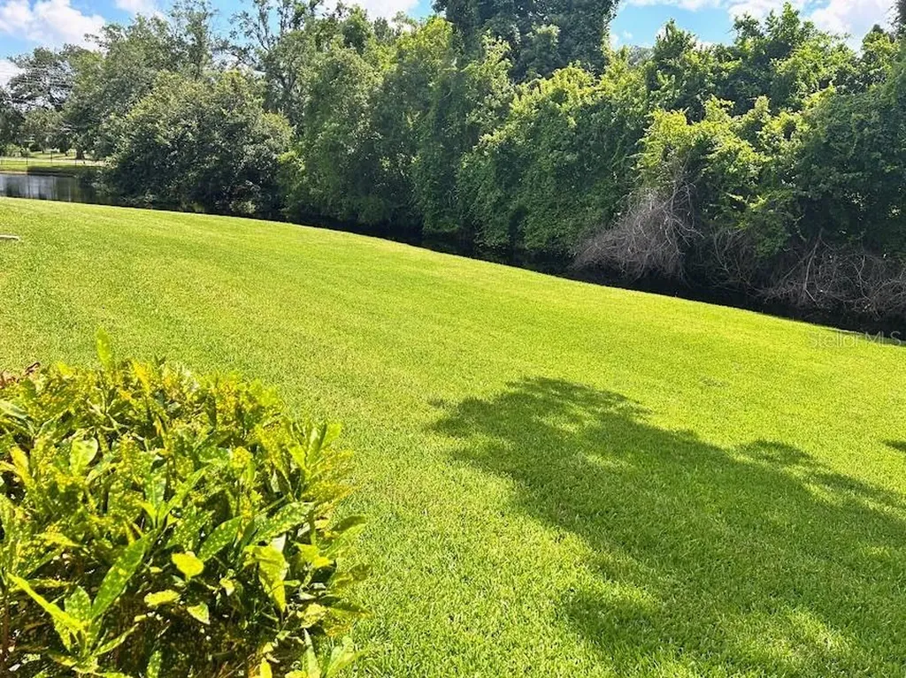 4916 Sunnybrook Drive New Port Richey FL 34653