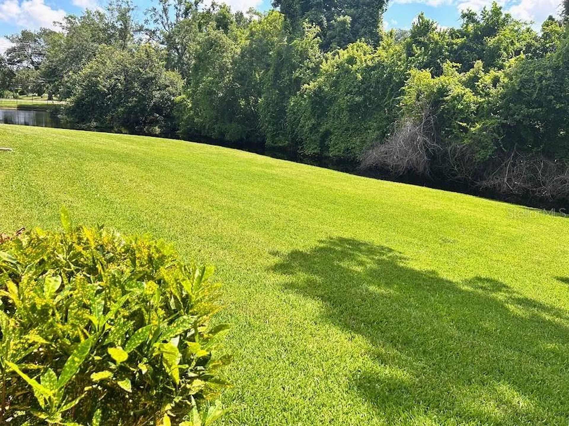 4916 Sunnybrook Drive New Port Richey FL 34653