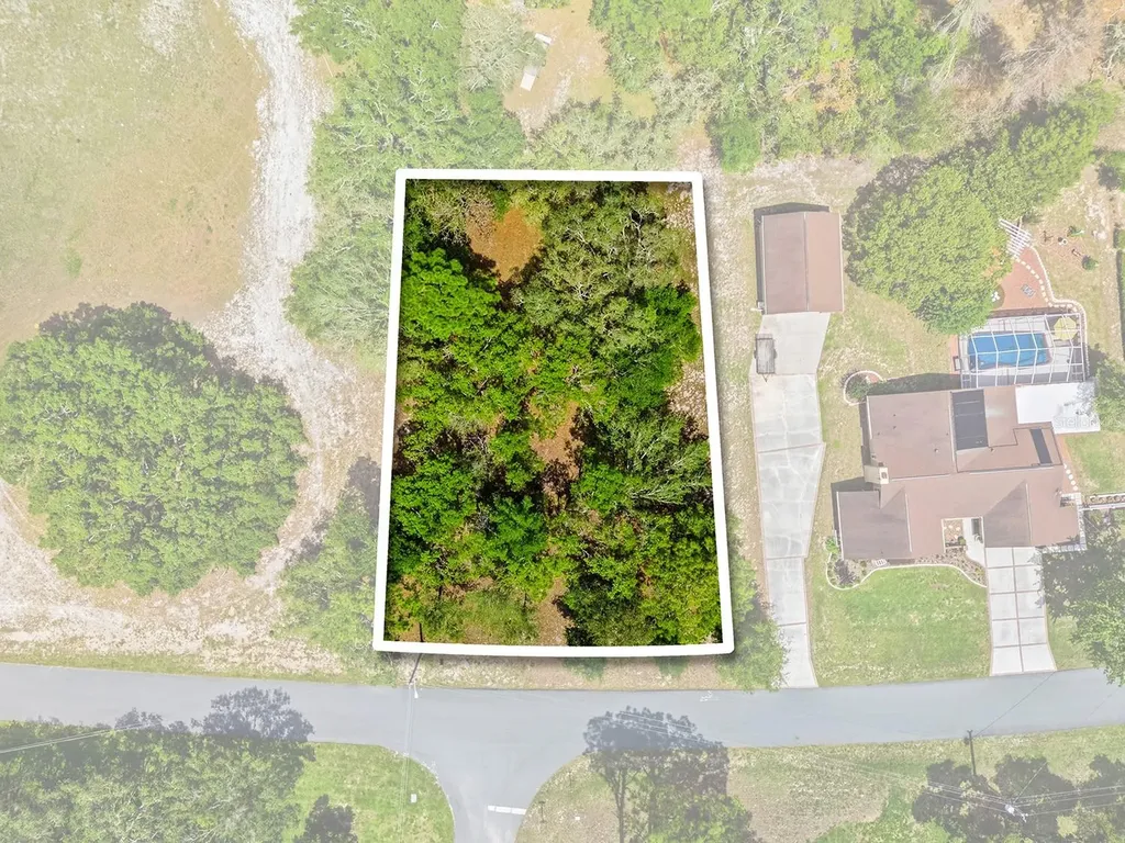 1228 Staten Avenue Spring Hill FL 34609