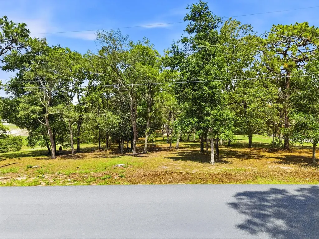 1228 Staten Avenue Spring Hill FL 34609