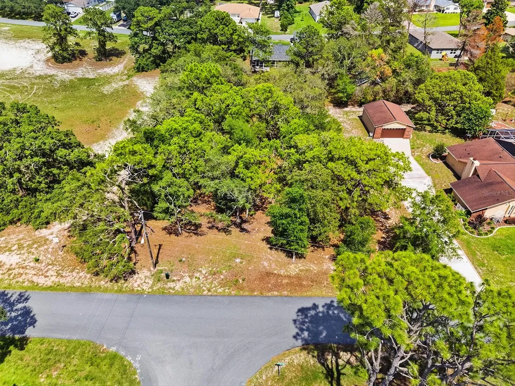 1228 Staten Avenue Spring Hill FL 34609