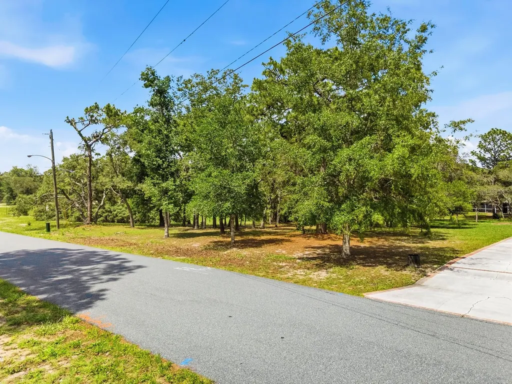1228 Staten Avenue Spring Hill FL 34609