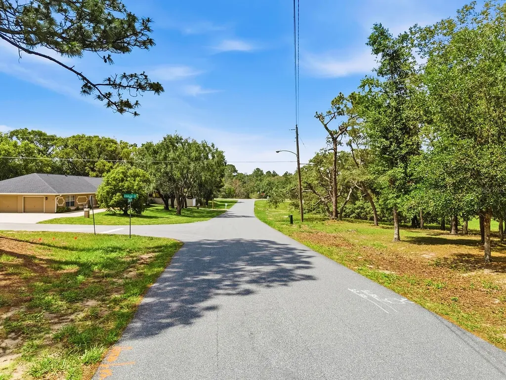 1228 Staten Avenue Spring Hill FL 34609