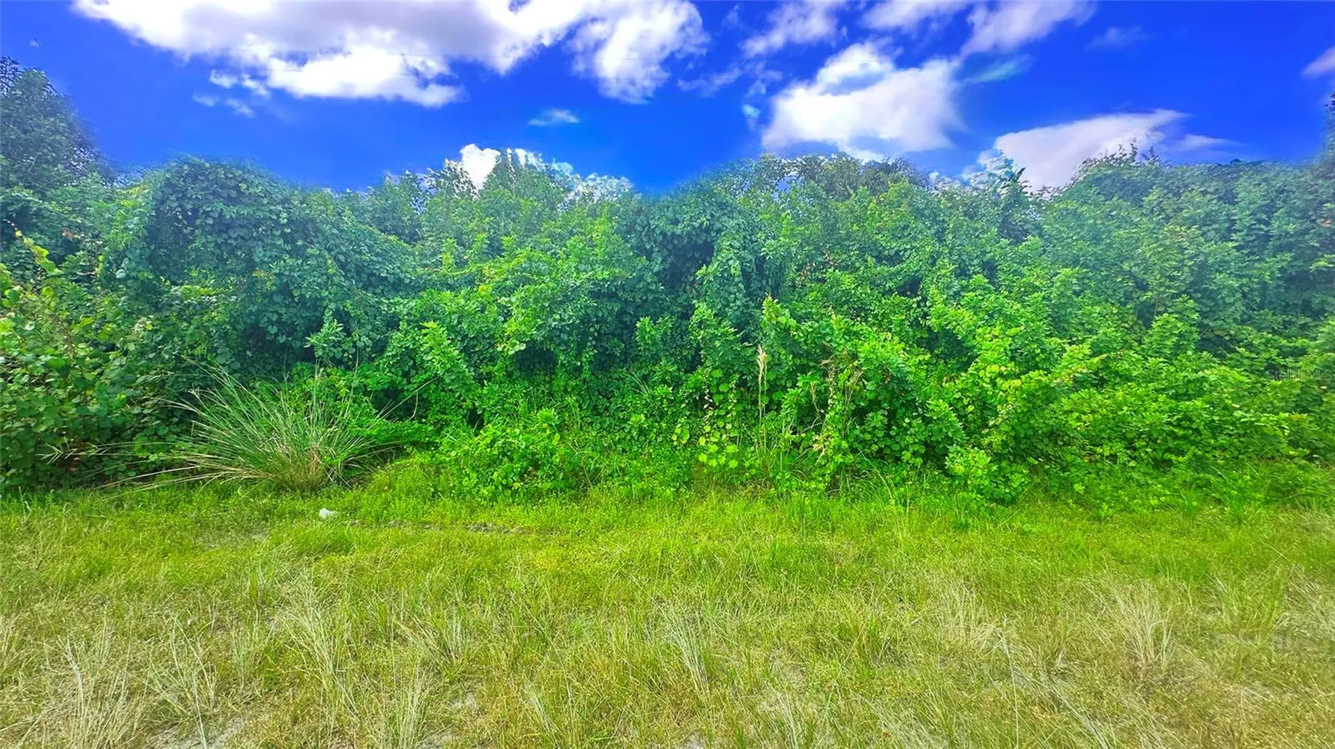 10 SW 24th Avenue Cape Coral FL 33991
