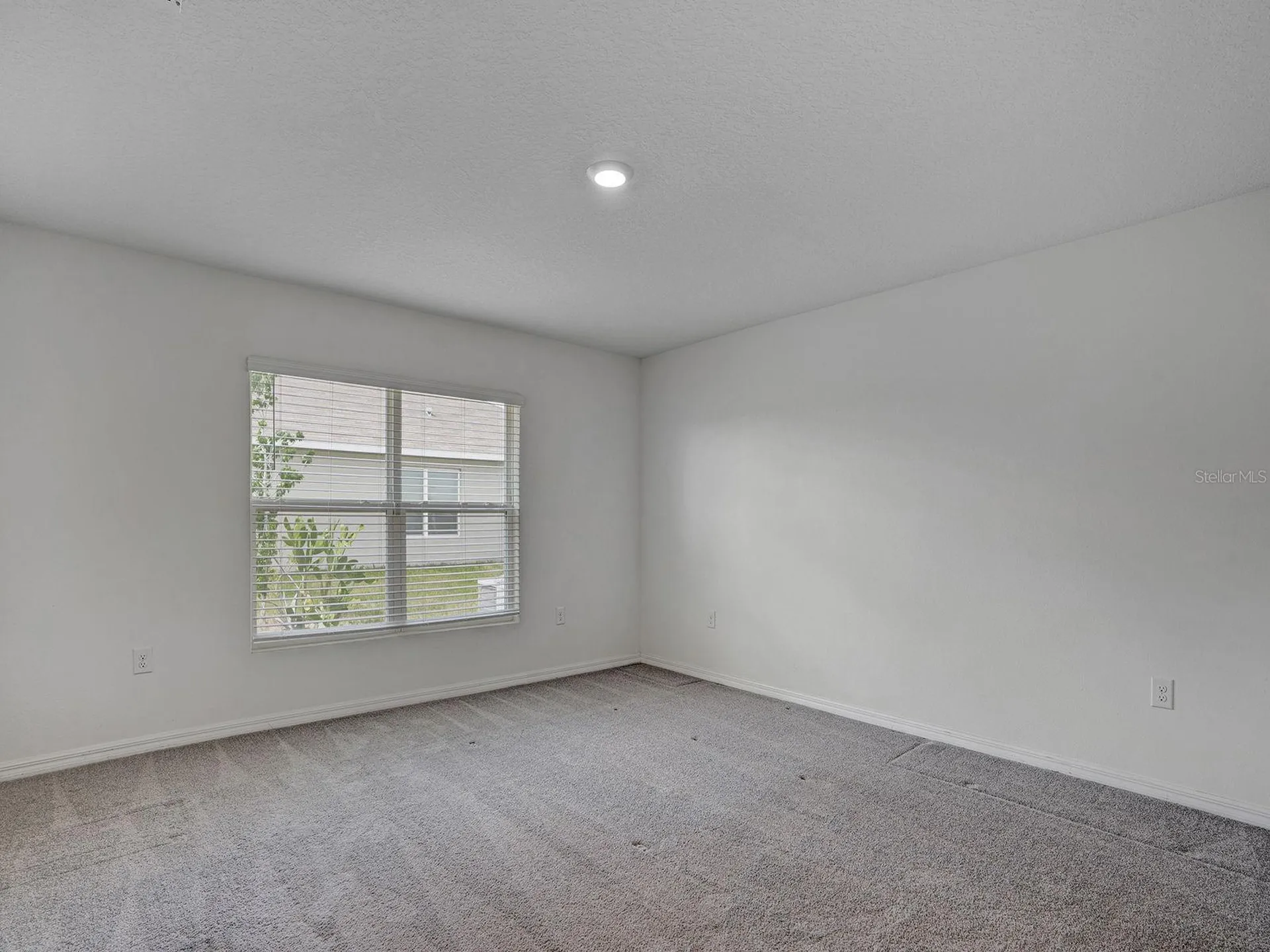 5586 Logan Cave Avenue Wimauma FL 33598
