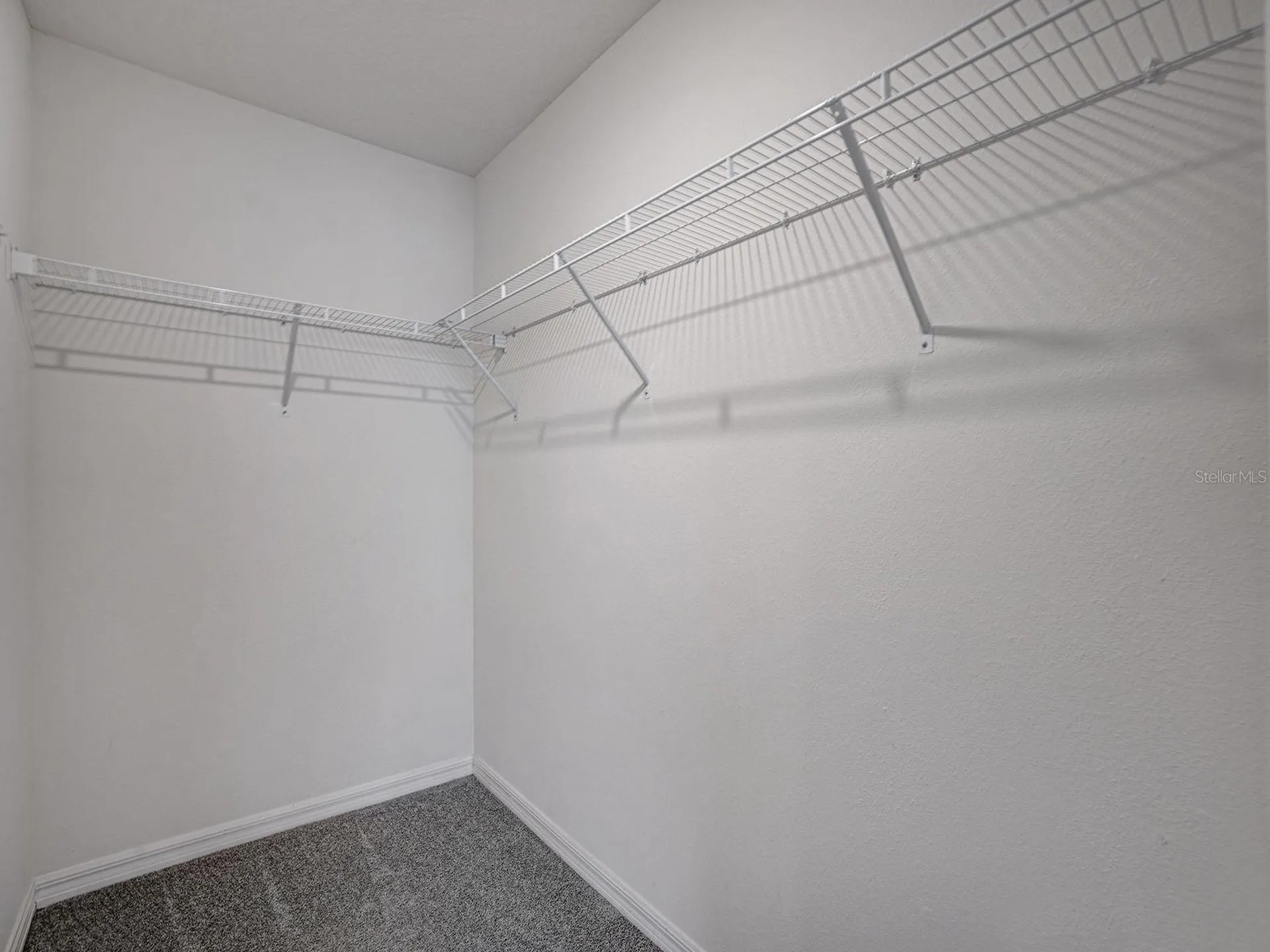 5586 Logan Cave Avenue Wimauma FL 33598