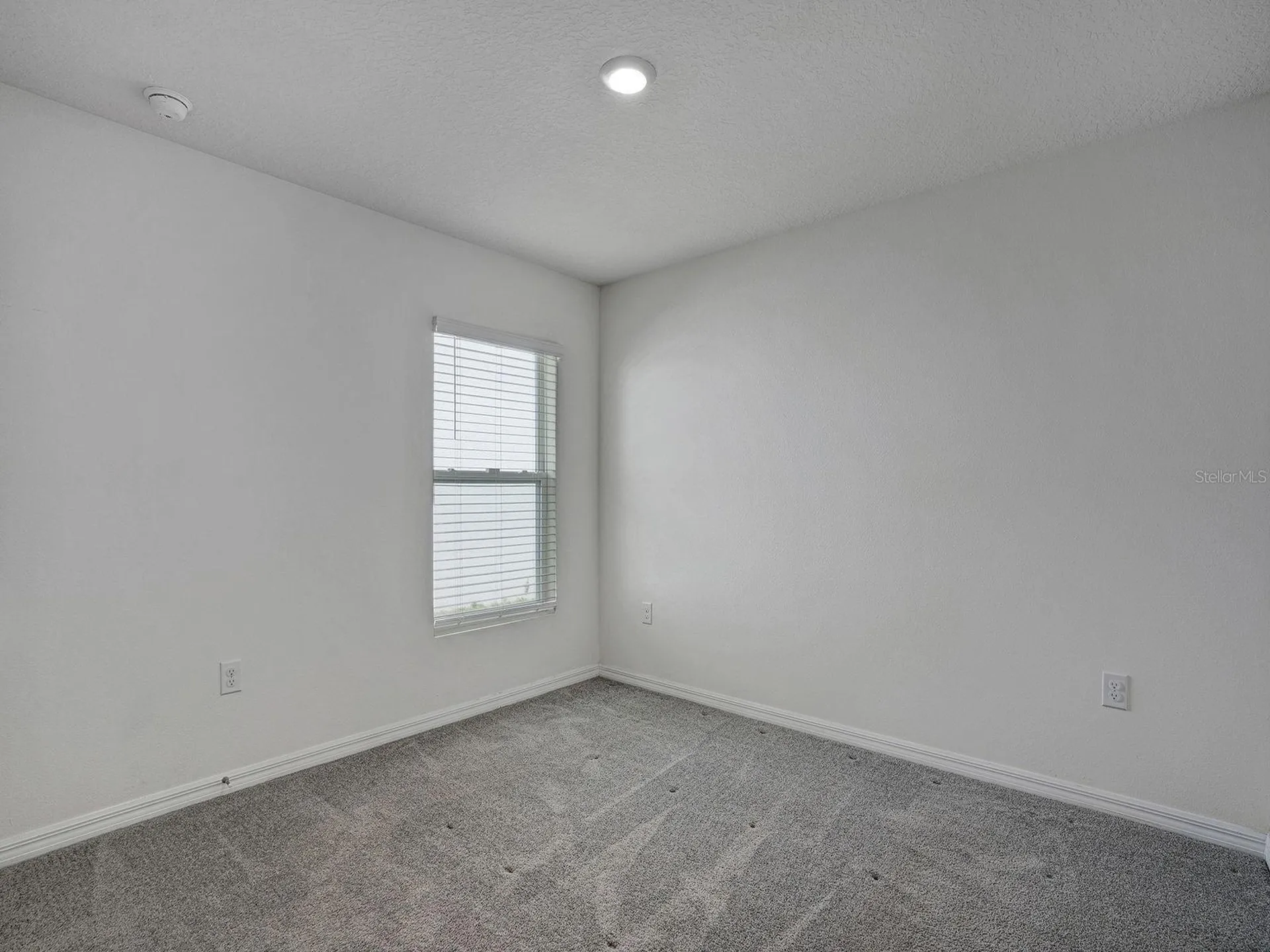 5586 Logan Cave Avenue Wimauma FL 33598