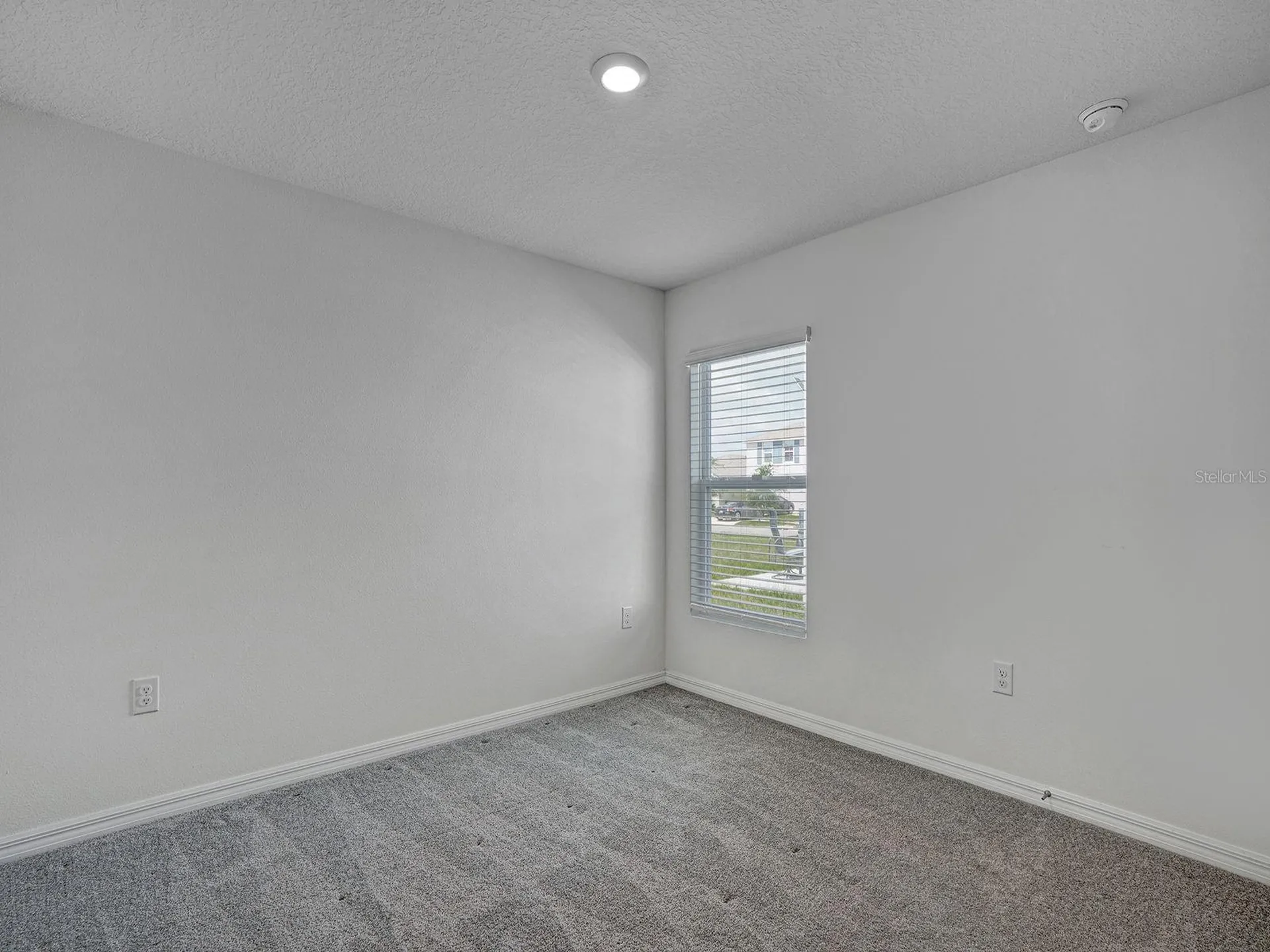 5586 Logan Cave Avenue Wimauma FL 33598