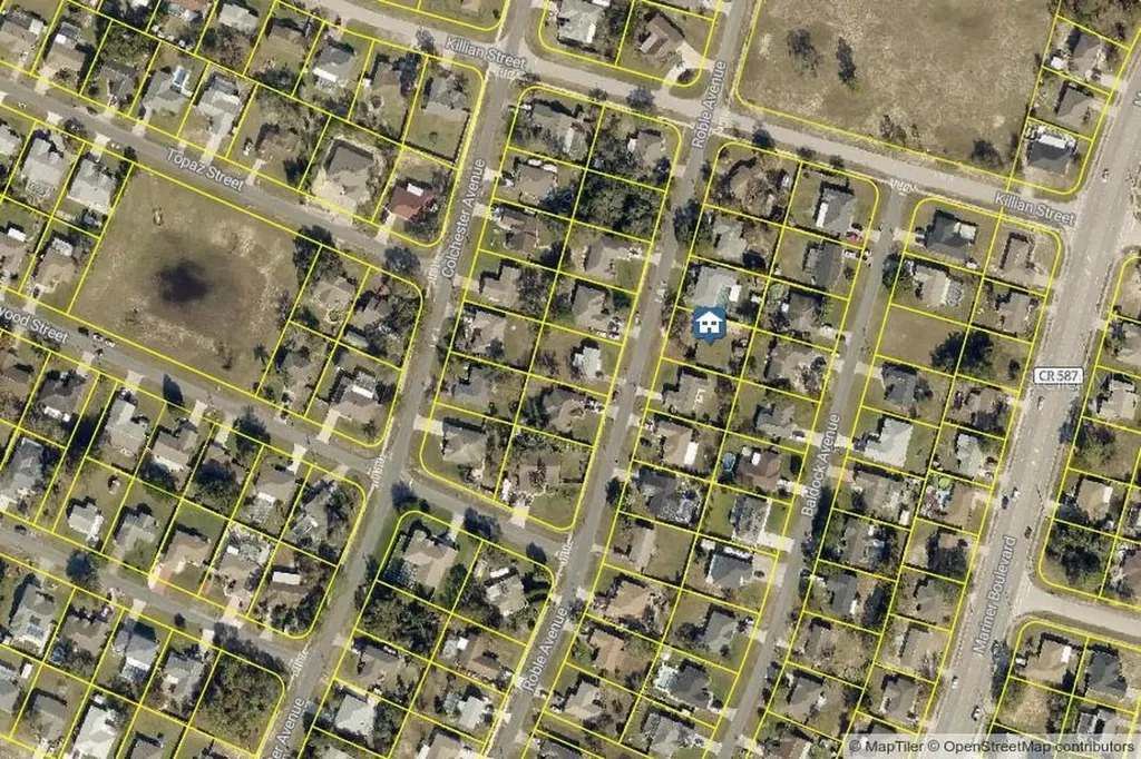 Tbd Roble Avenue Spring Hill FL 34608
