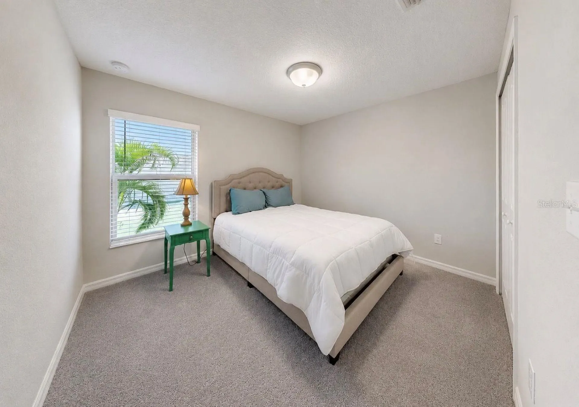 5143 White Chicory Drive Apollo Beach FL 33572