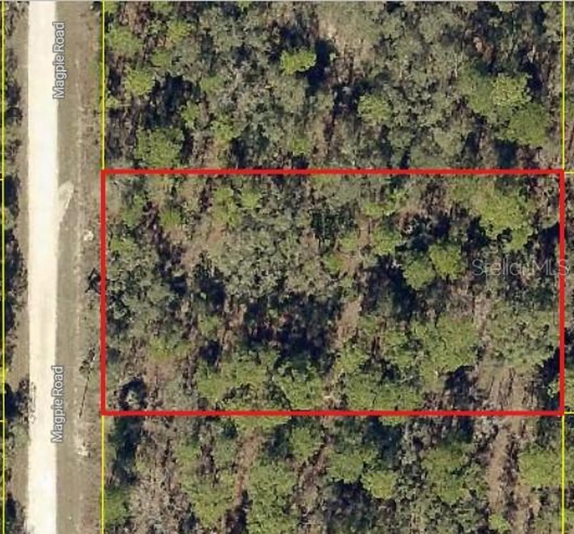 16026 Magpie Road Weeki Wachee FL 34614