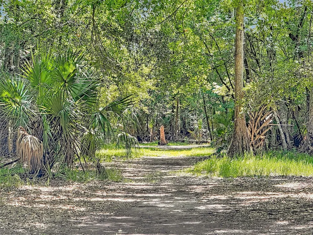 273 Griffin Road Wauchula FL 33873