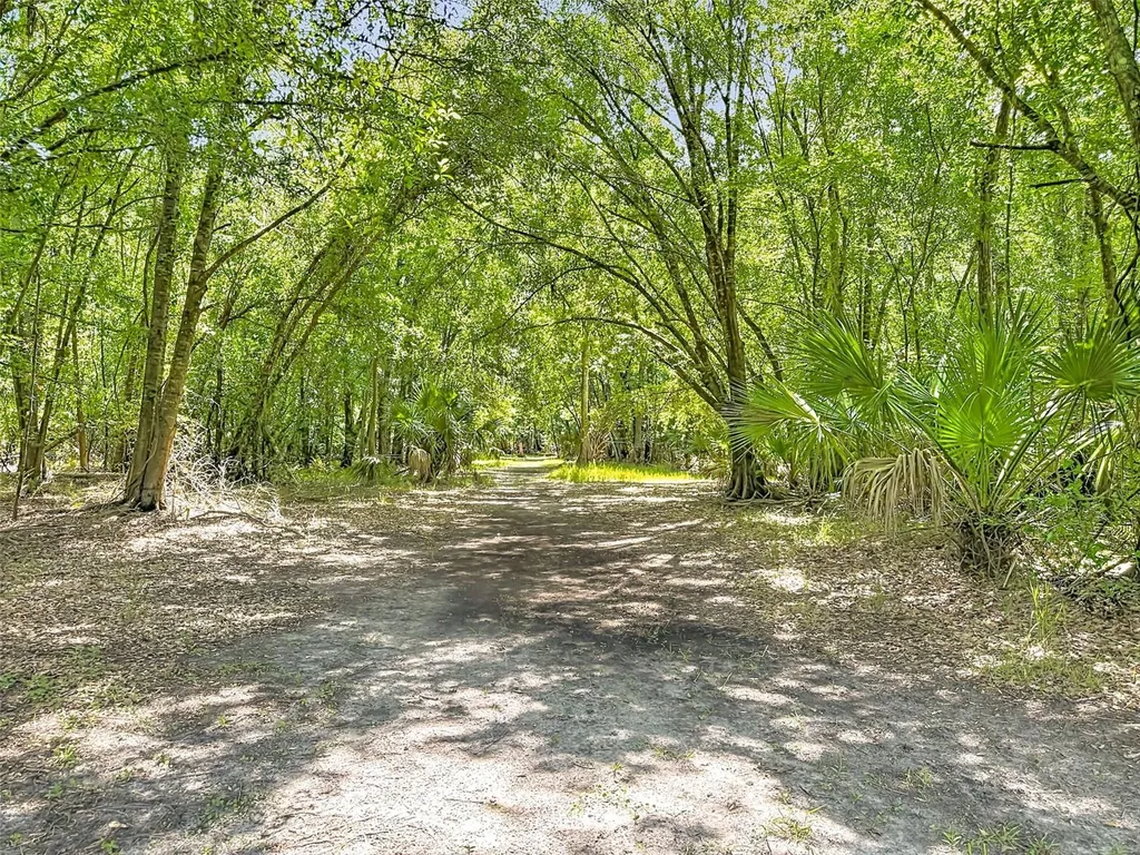273 Griffin Road Wauchula FL 33873