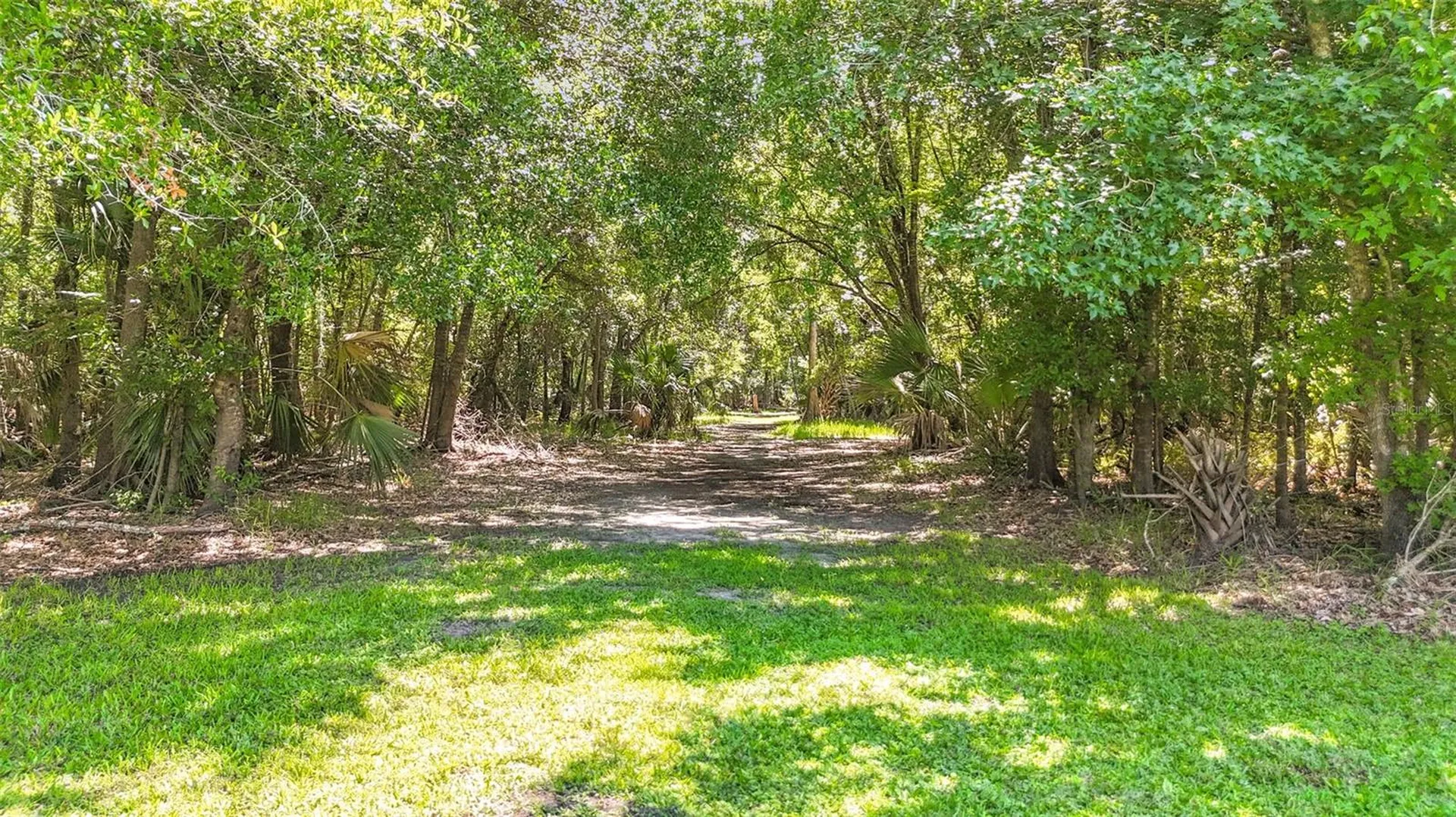 273 Griffin Road Wauchula FL 33873