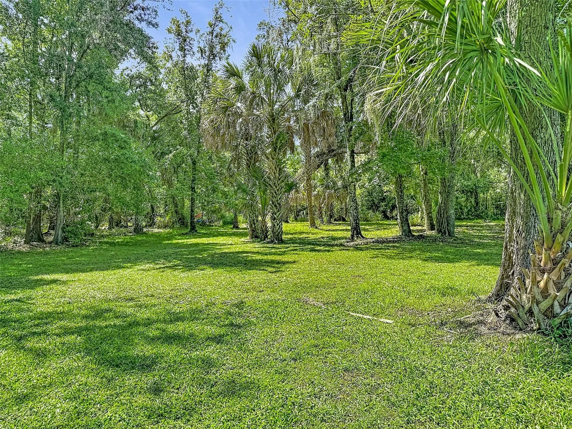 273 Griffin Road Wauchula FL 33873