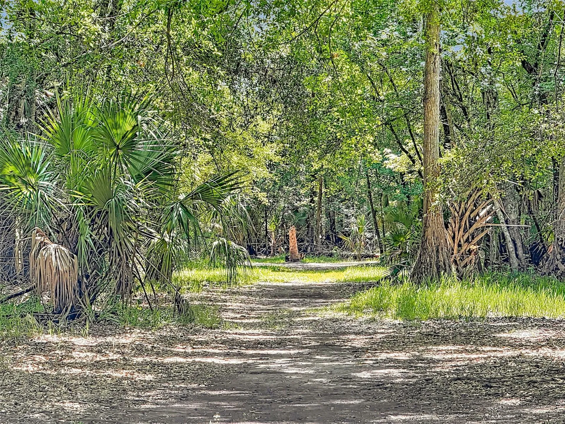 273 Griffin Road Wauchula FL 33873