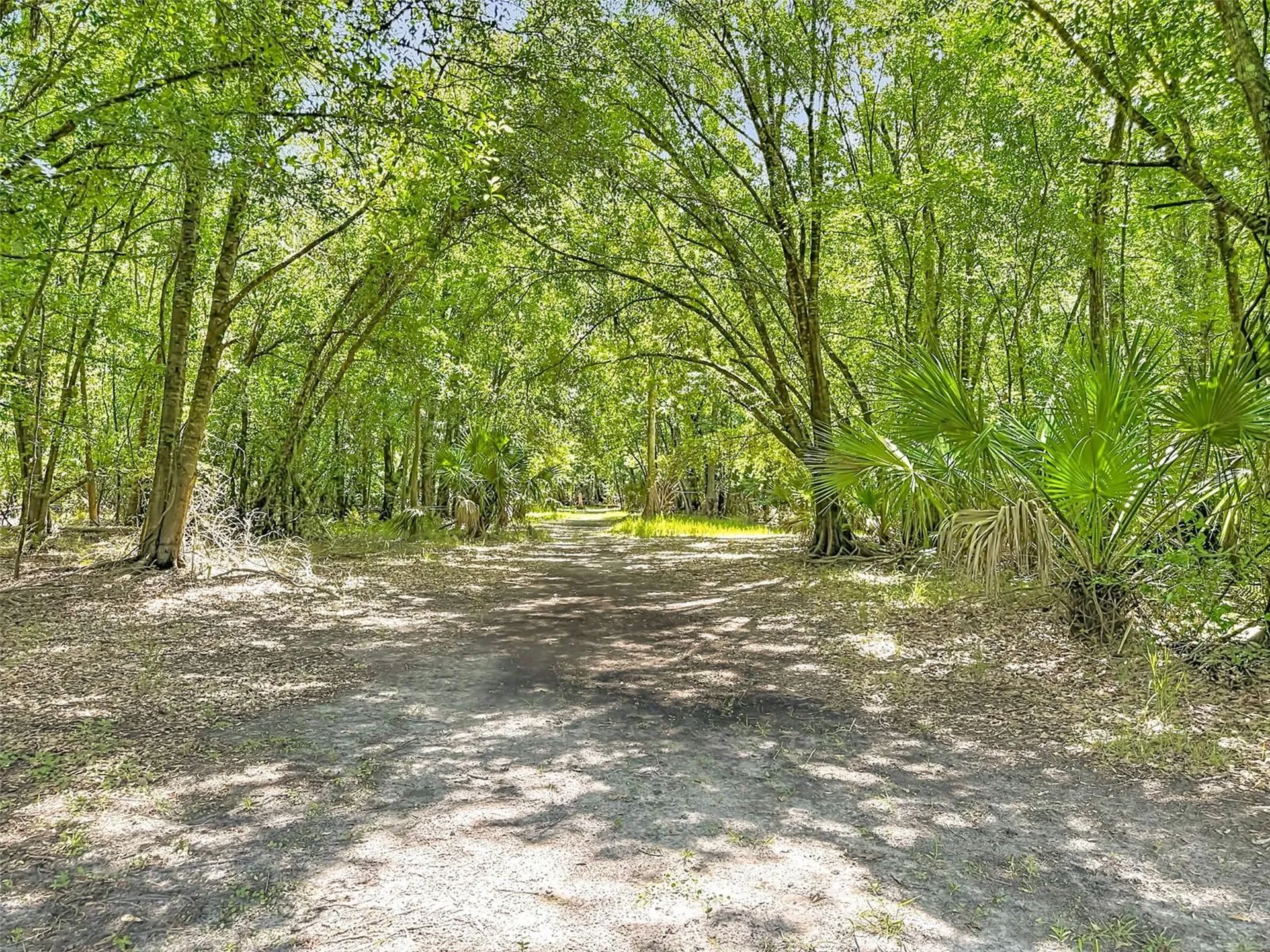 273 Griffin Road Wauchula FL 33873
