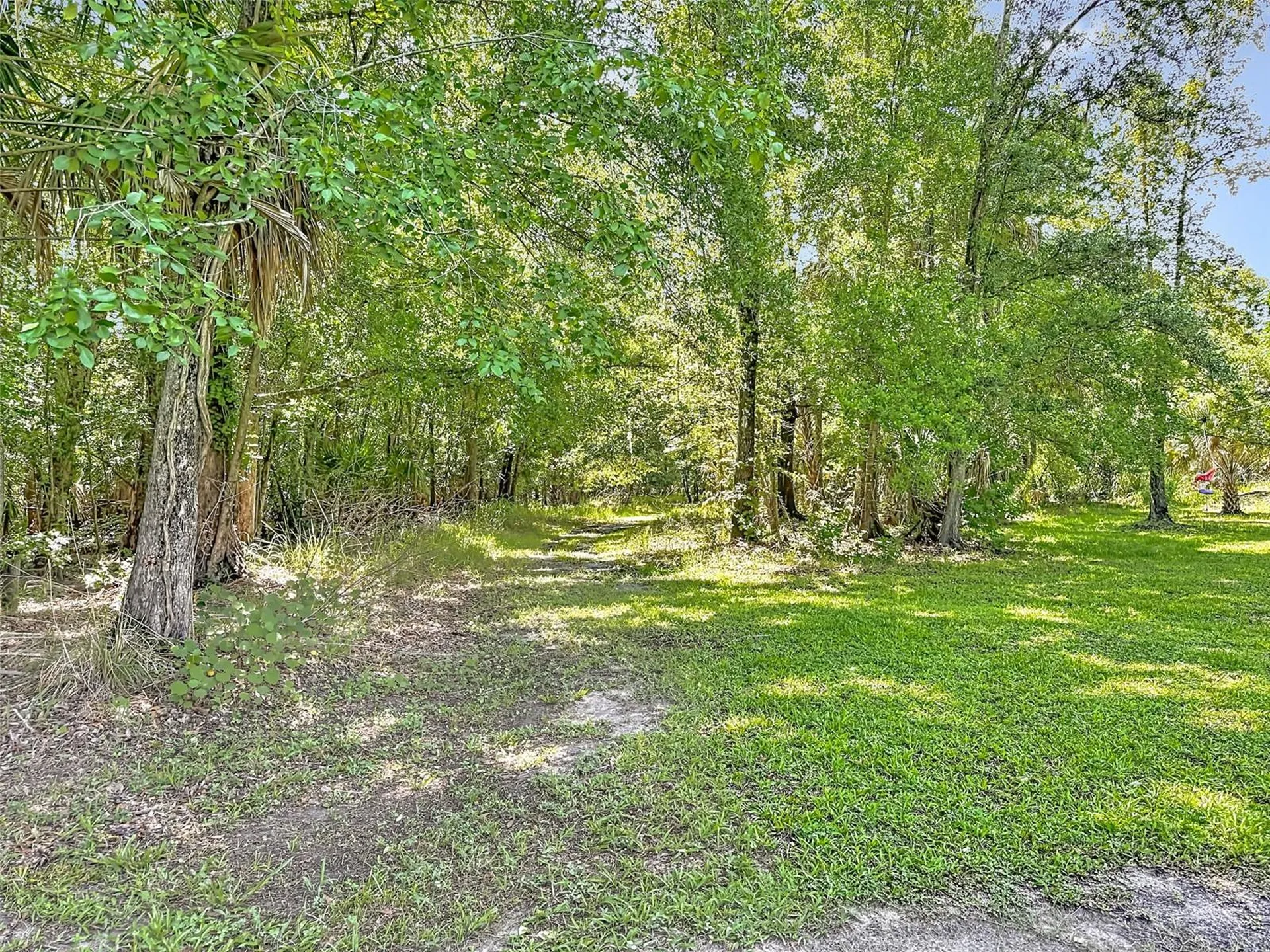 273 Griffin Road Wauchula FL 33873