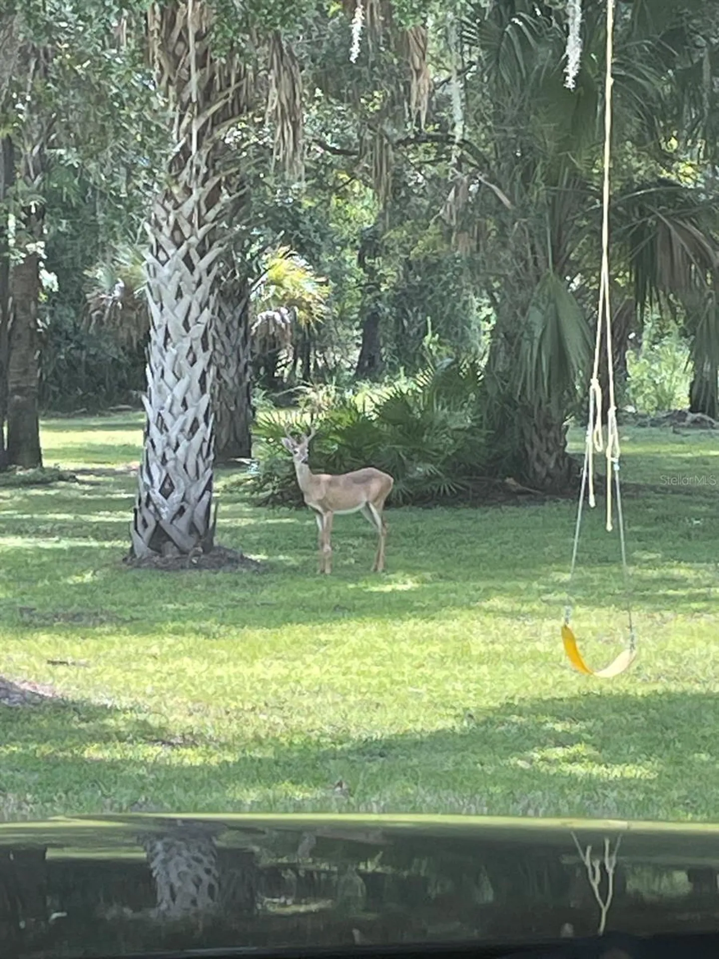 273 Griffin Road Wauchula FL 33873