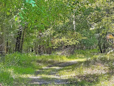 273 Griffin Road Wauchula FL 33873