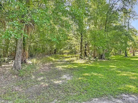 273 Griffin Road Wauchula FL 33873