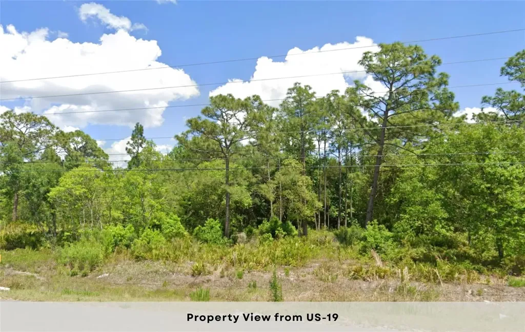11287 S Suncoast Boulevard Homosassa FL 34446
