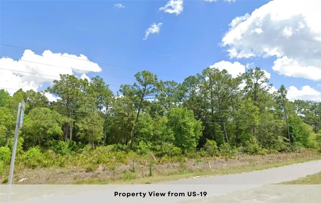 11287 S Suncoast Boulevard Homosassa FL 34446