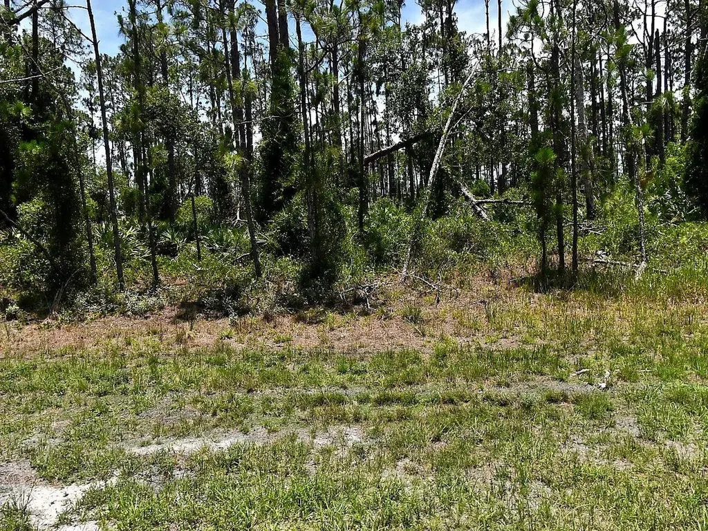 Tropicaire Boulevard North Port FL 34291