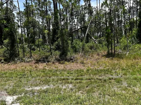 Tropicaire Boulevard North Port FL 34291