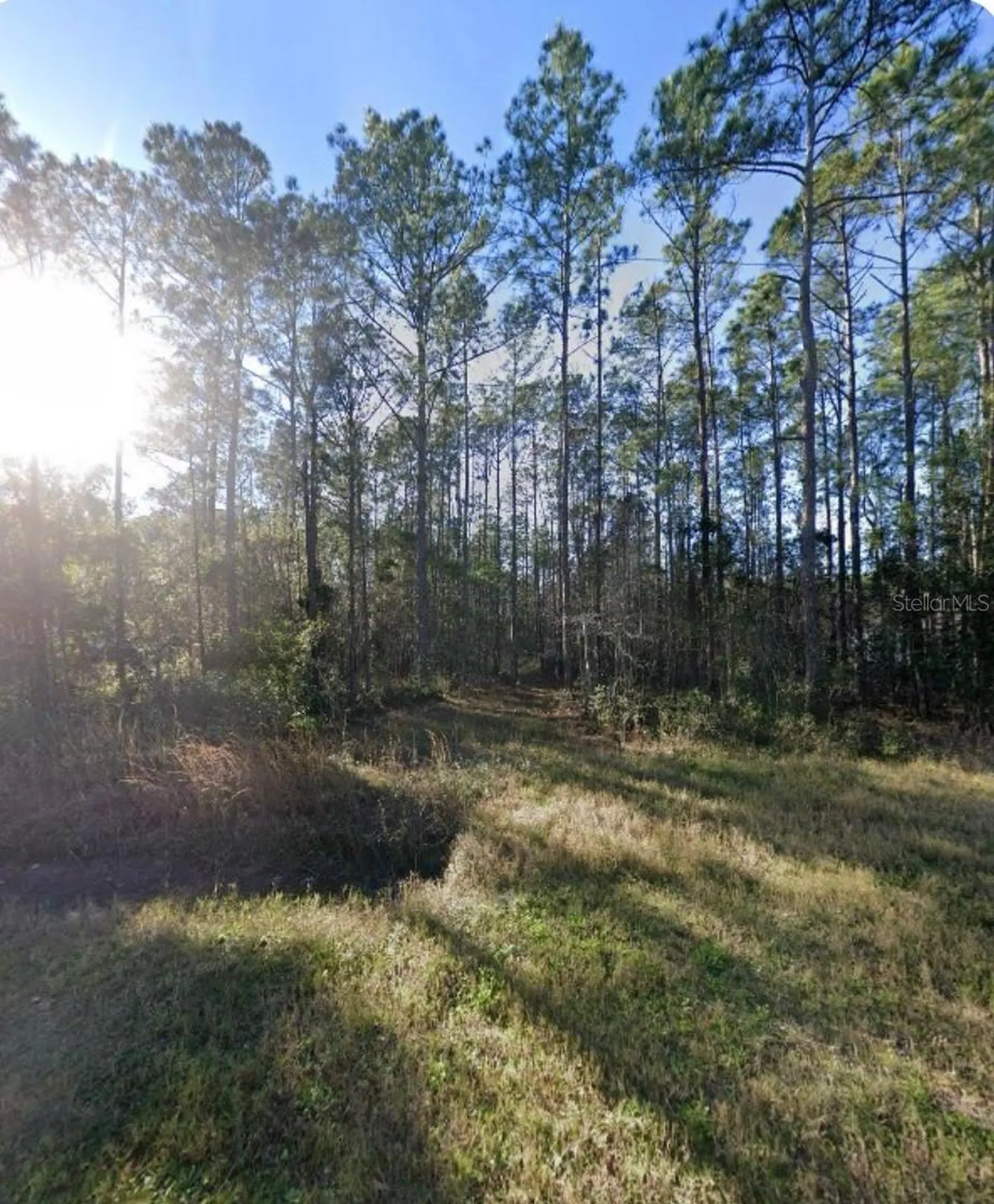 9930 Crotty Avenue Hastings FL 32145