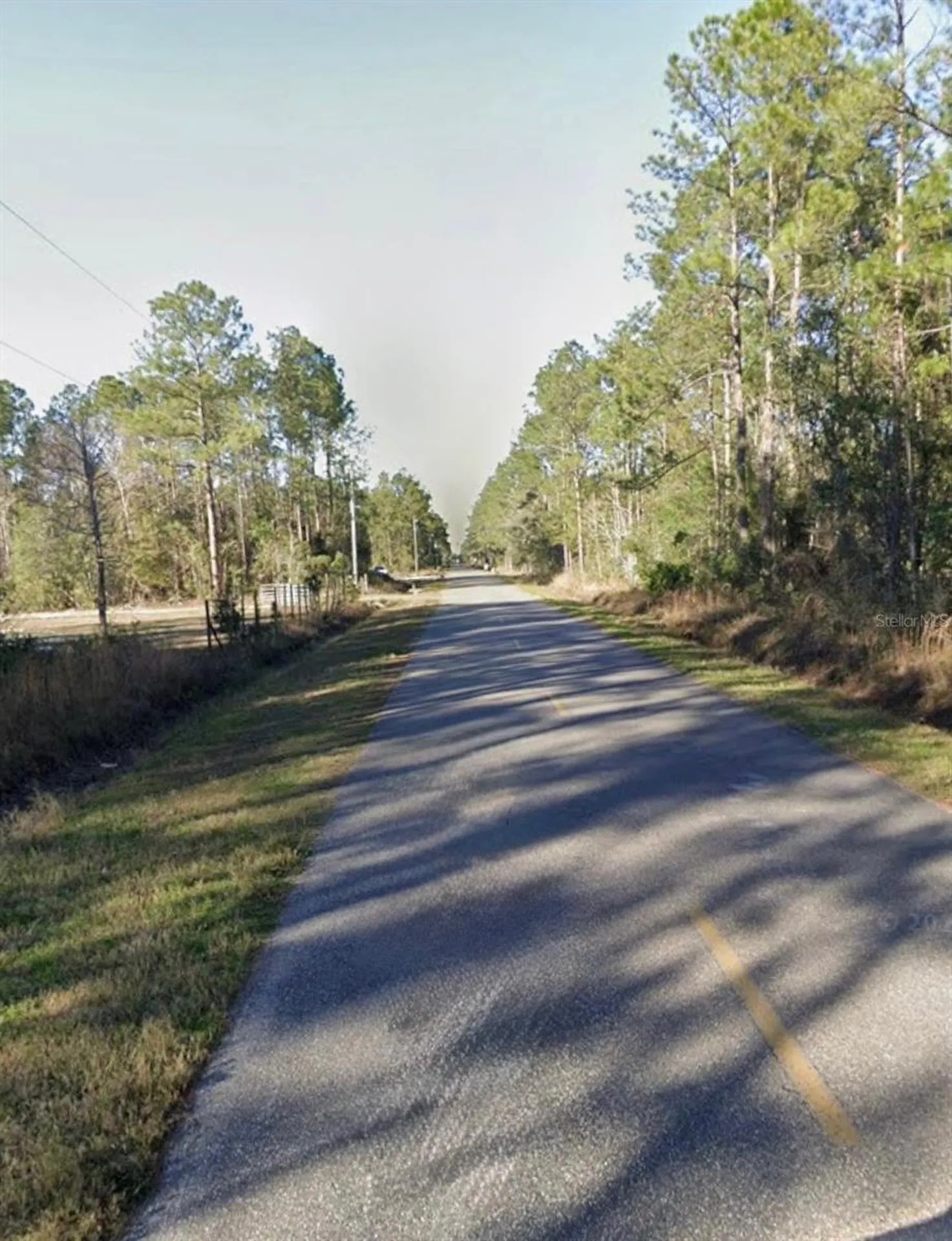 9930 Crotty Avenue Hastings FL 32145