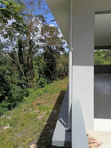 156 Bo. Bayamoncito Aguas Buenas PR 00703