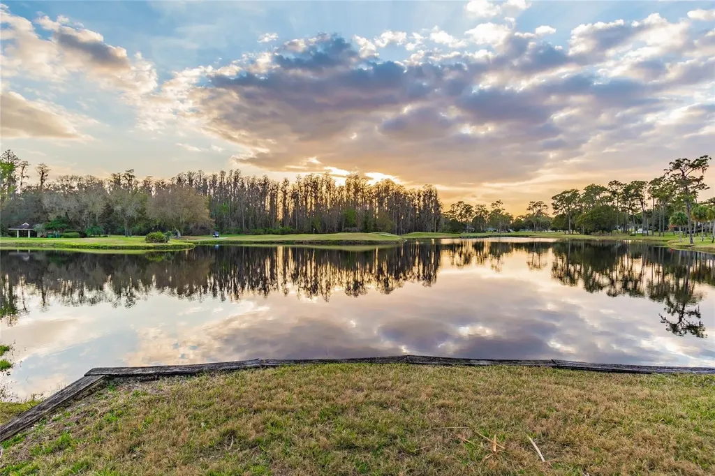 5473 Blue Heron Lane Wesley Chapel FL 33543