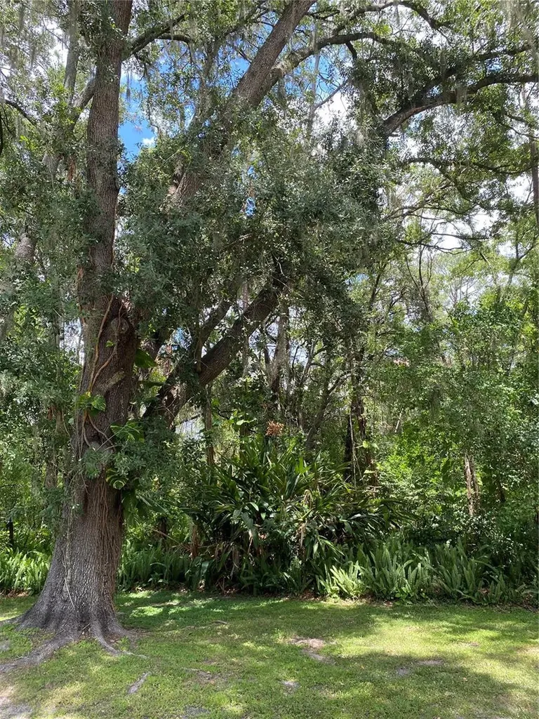 2640 Martha Lane Land O Lakes FL 34639