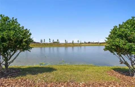 6741 Michael Favor Way Wesley Chapel FL 33545