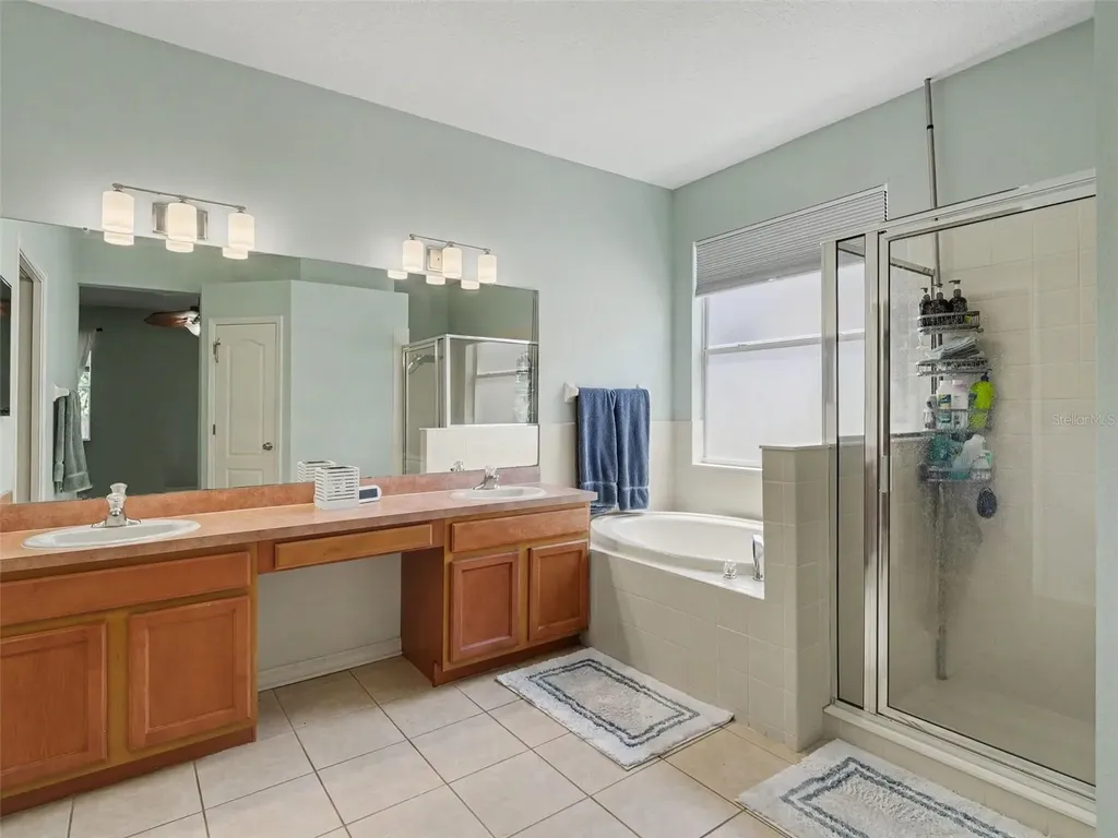 11102 Silver Dancer Drive Riverview FL 33579