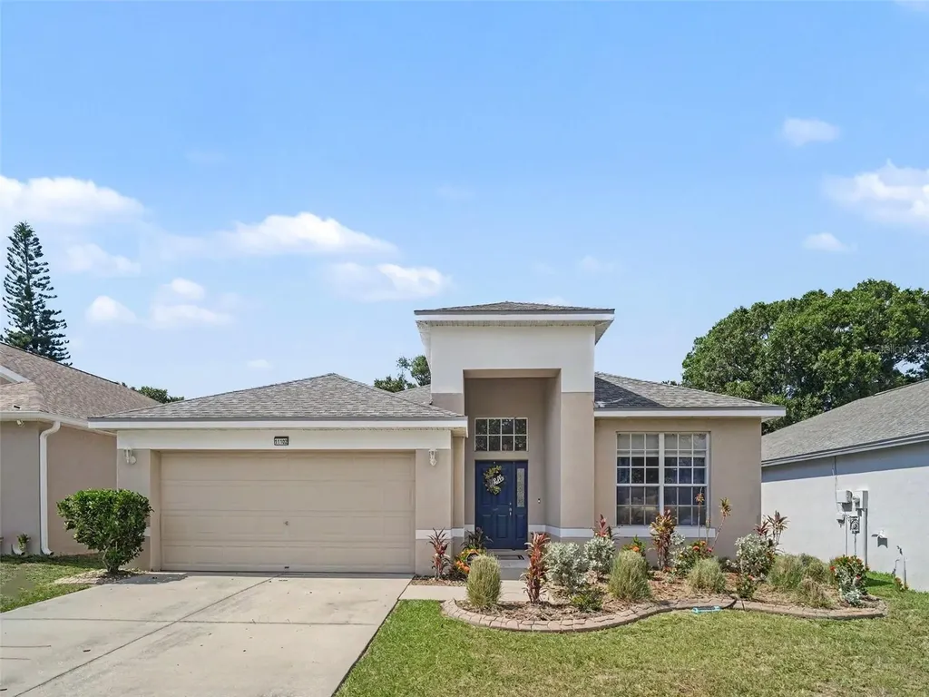 11102 Silver Dancer Drive Riverview FL 33579