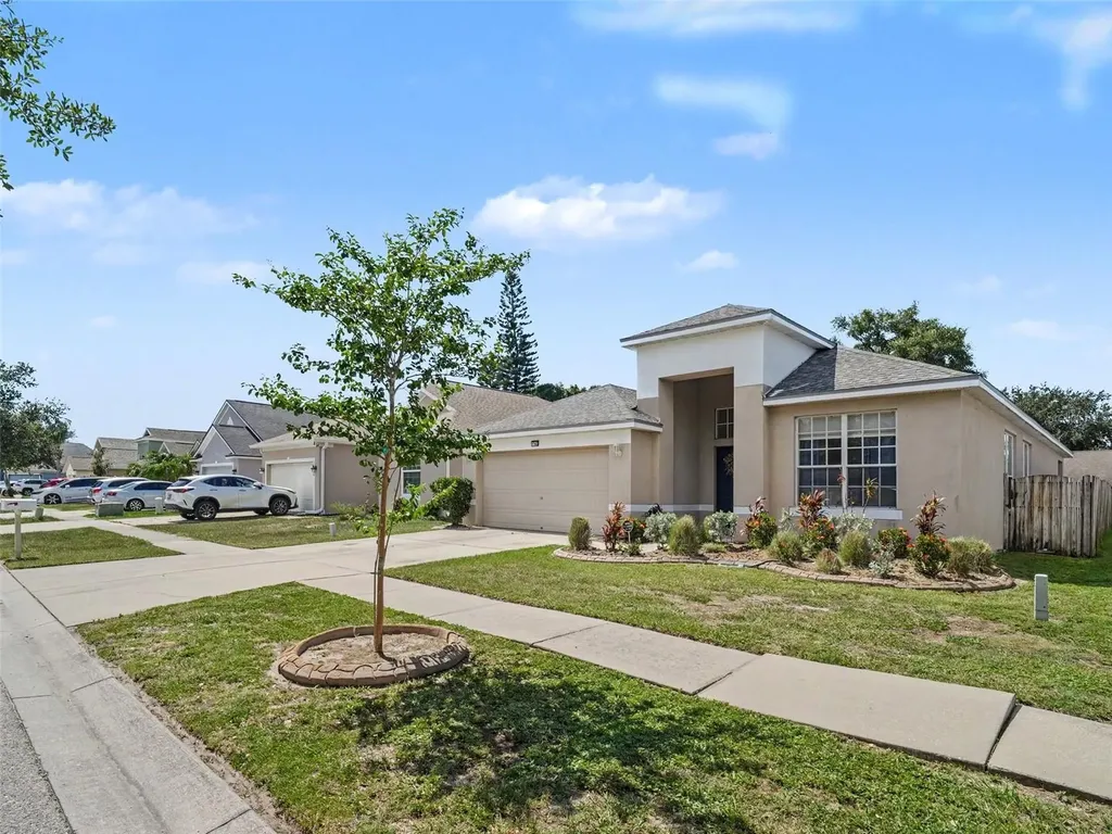 11102 Silver Dancer Drive Riverview FL 33579