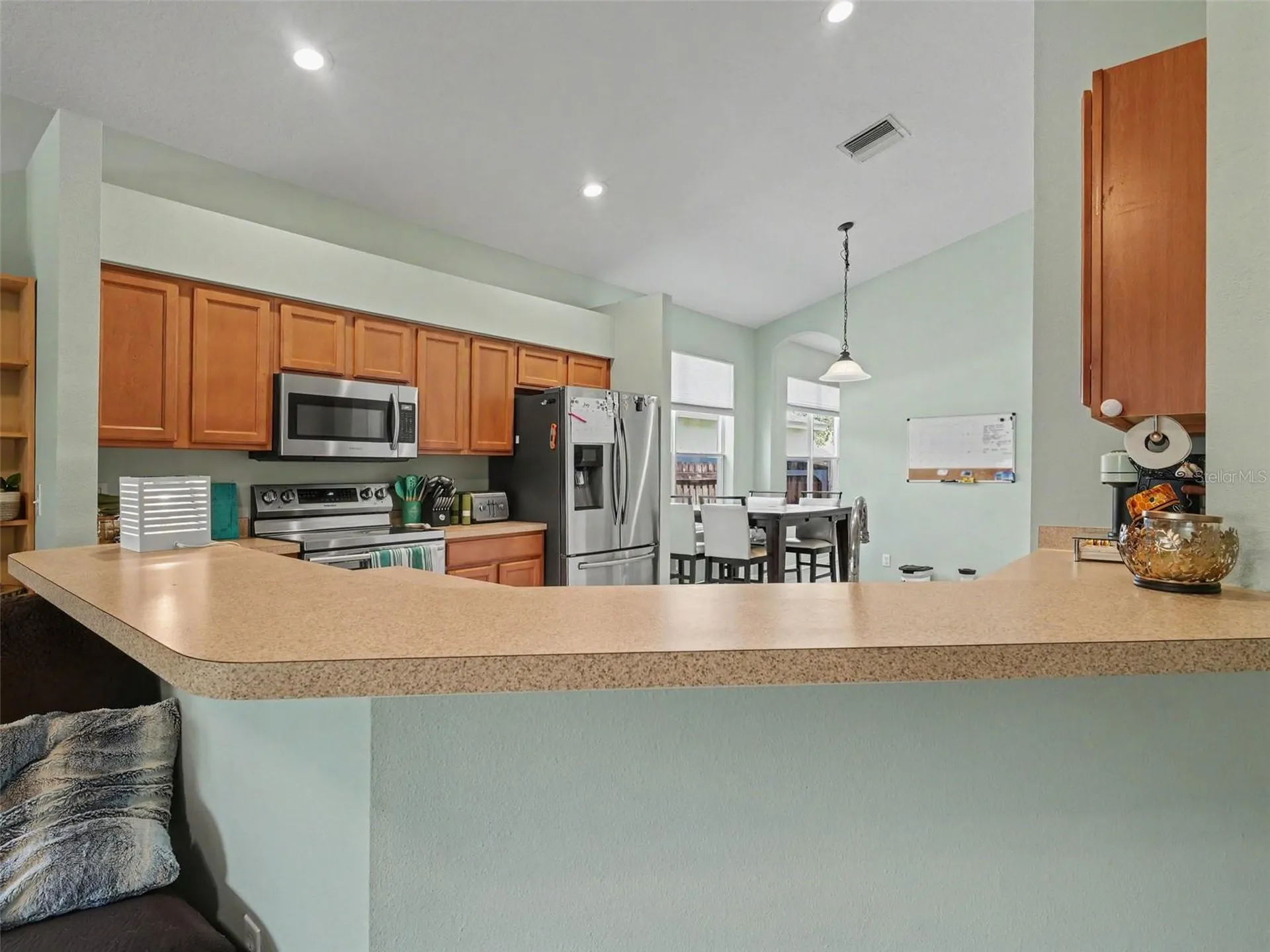 11102 Silver Dancer Drive Riverview FL 33579