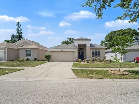 11102 Silver Dancer Drive Riverview FL 33579