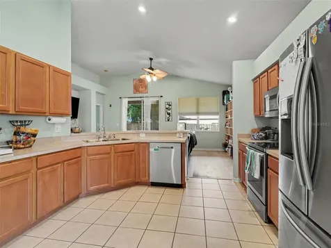 11102 Silver Dancer Drive Riverview FL 33579