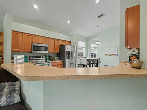11102 Silver Dancer Drive Riverview FL 33579