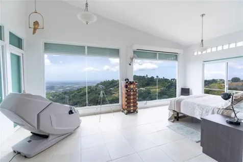 9957 Elias Santiago Canovanas PR 00729